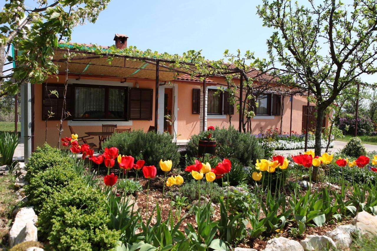 Villa Fragola - Holiday House With Large Garden Tinjan Kültér fotó